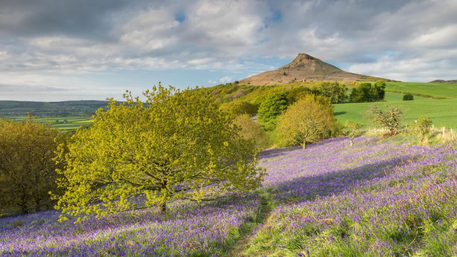 Stone Cottage In Picturesque North Yorkshire Village - Bull Dog Cottage Ampleforth 외부 사진